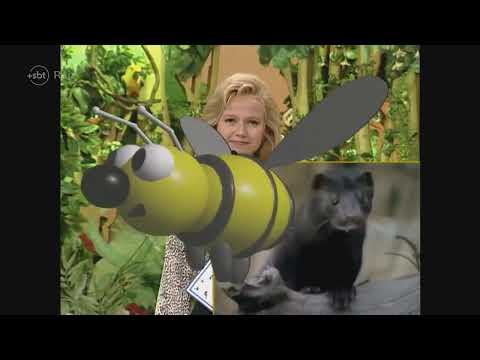 Tv Animal  Eliana  29 05 1996