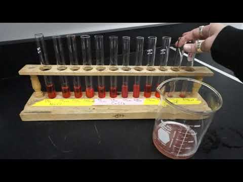 BI207 - Lab 2 - D&O Experiment