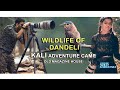 Wildlife Of Dandeli Kali Adventure Camp Explore Wild Karnataka
