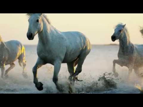 Justin Hayward - The Wind Of Heaven