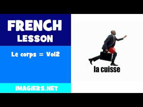 FRENCH LESSON #147 = Le corps = Vol2