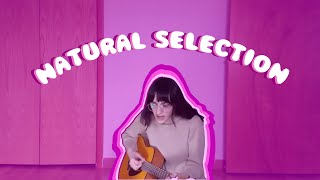 natural selection - animal collective (cover)