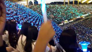 Dream Concert 2017 - I sit with BTOB Fandom (Mellody) - Concert in Korea