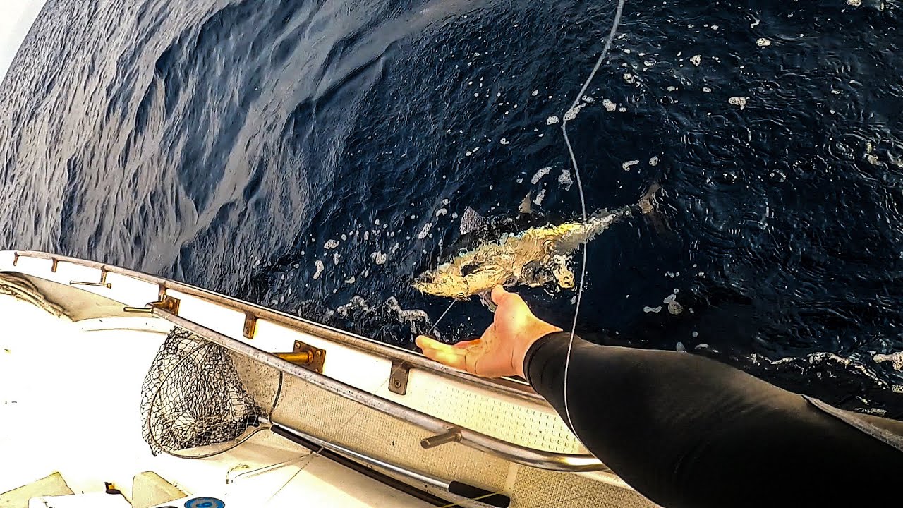 秋の落とし込みで大物狙い①