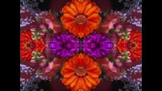 The Road And The Sky (by Jackson Browne &amp; and David Lindley live in New Orleans in '75)