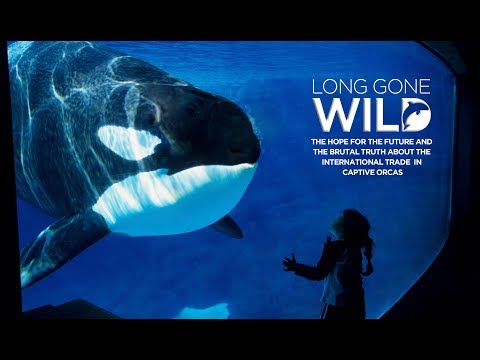 Long Gone Wild Trailer