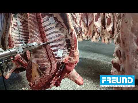 Quartering shear - AS28