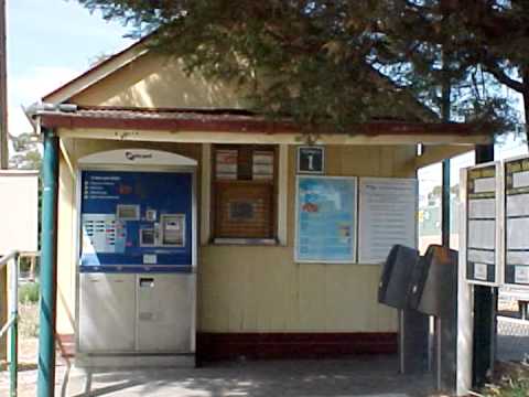 Coodabeen Champions 6.15 from Montmorency