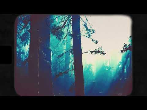 Vataff Project - Back to the Forest [Full EP]