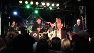 Foo Fighters Stiff Competition Cubby Bear