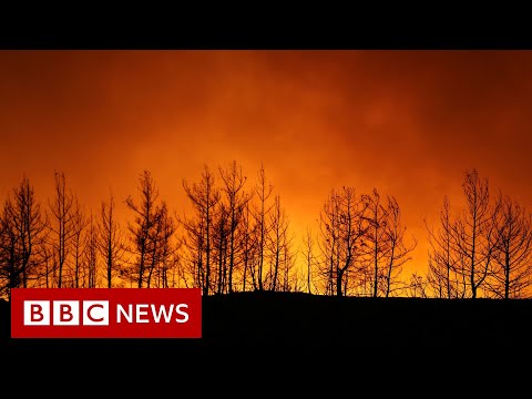 Wildfires threaten Turkey coastal resorts - BBC News