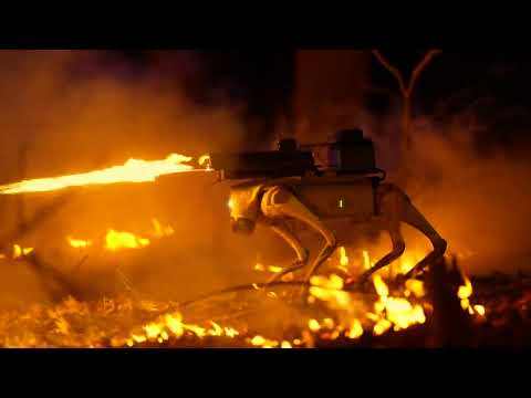 Skynet has been activated