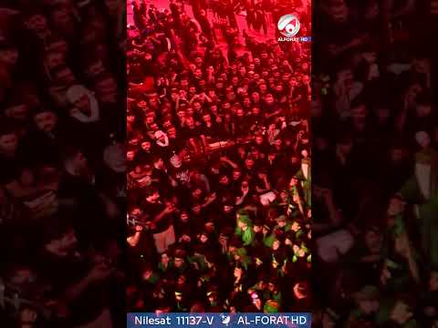 شاهد بالفيديو.. اريد والدي #الحسين #محرم_عاشوراء #محرم #كربلاء