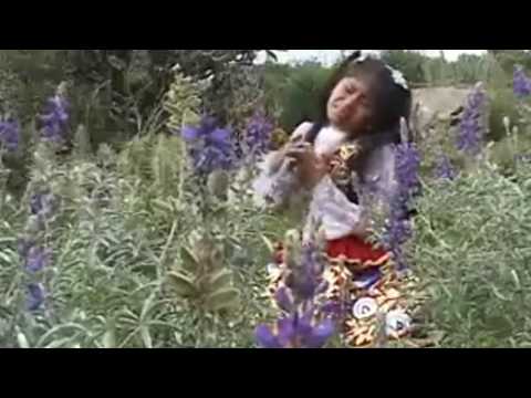 Wendy Sulca - Carnaval (HD)