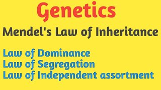 Genetics | Mendel's Law of Inheritance | Pravin Bhosale