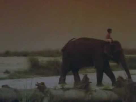 Enigma - The Eyes Of Truth ( dickens tribage 2008 rmx ) video version