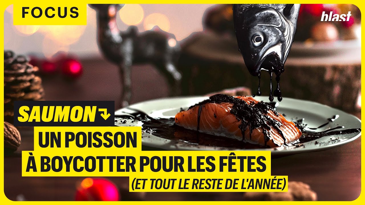 SAUMON : UN POISSON À BOYCOTTER POUR LES FÊTES (ET TOUT LE RESTE DE L'ANNÉE)
