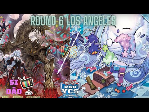 YCS Los Angeles 2023   Round 6Despia vs Floowandeereze