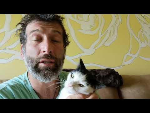 A guy with a cat🐱 gets passionate about soil