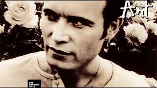 Adam Ant - Wonderful (LYRICS)