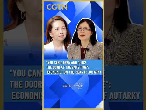 'You can't open and close the door at the same time': Singaporean economist on the risks of autarky