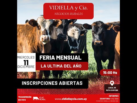 11/12/2024 La ultima del año - Vidiella y Cia (Feria) - Local 33 en la calera - Treinta y Tres