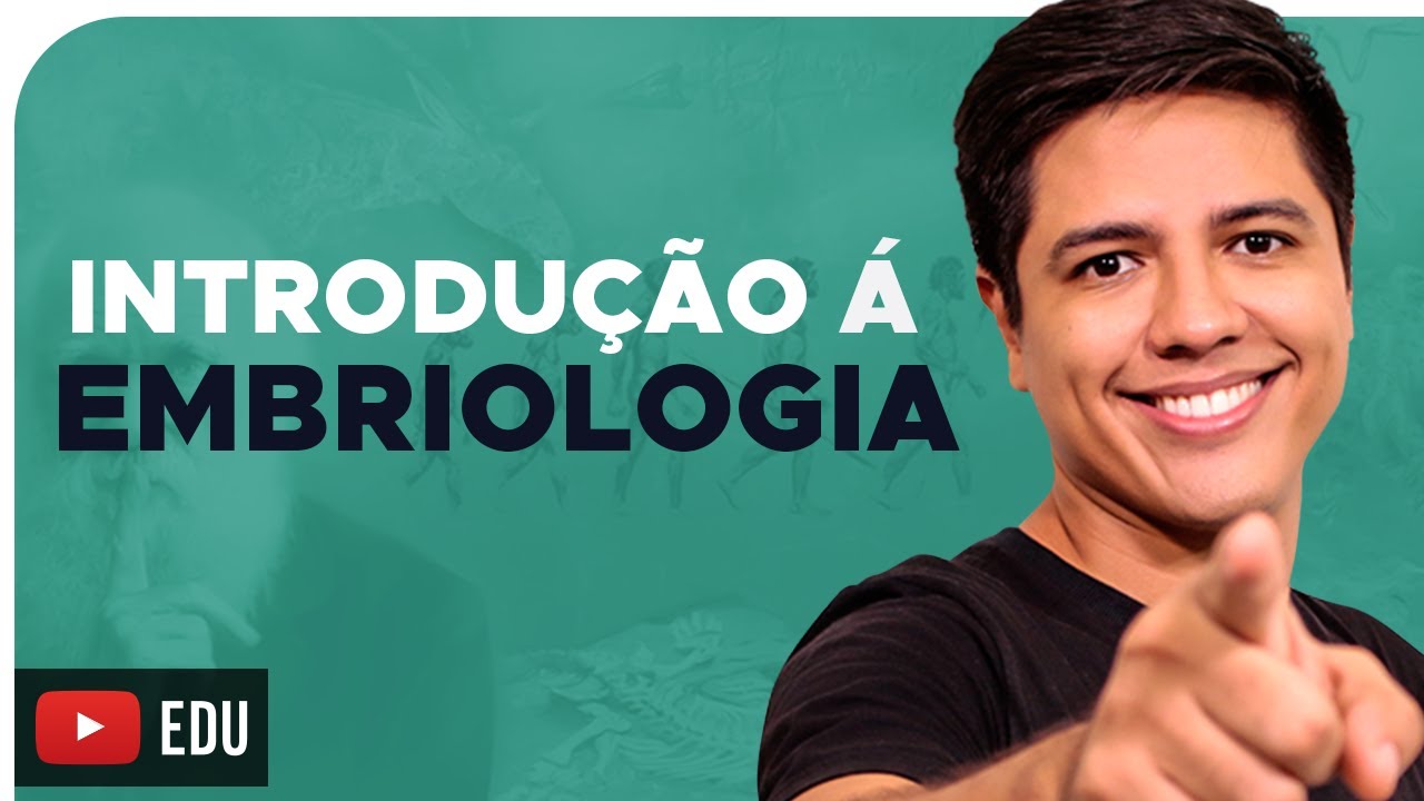 DESENVOLVIMENTO EMBRIONÁRIO - EMBRIOLOGIA Parte 01 - Prof. Kennedy Ramos