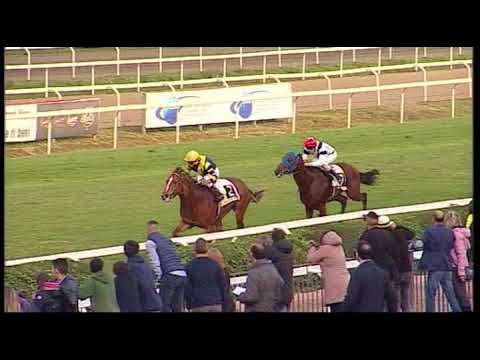 rm 20171029 06 p divinoamore