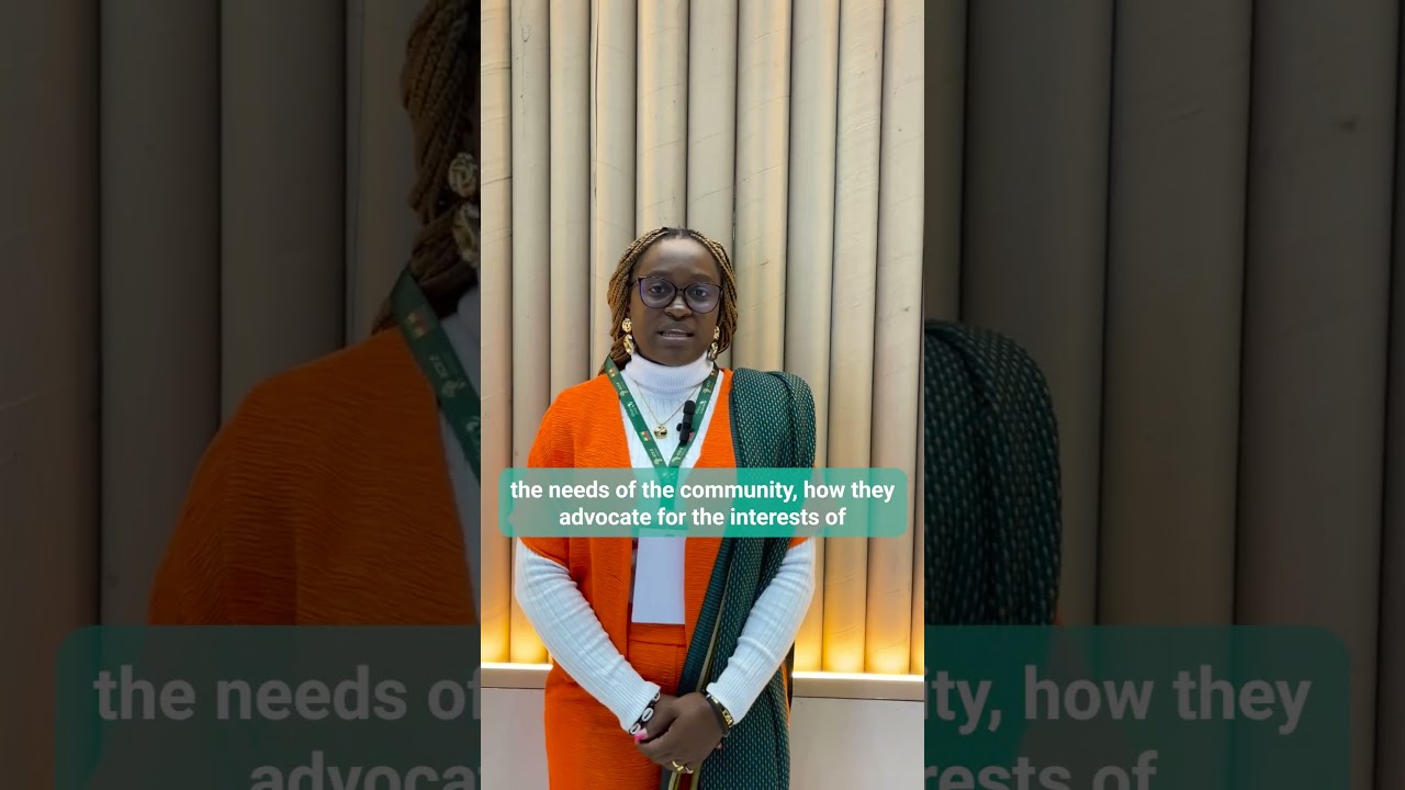 Why government transparency and informed civil society improve climate outcomes