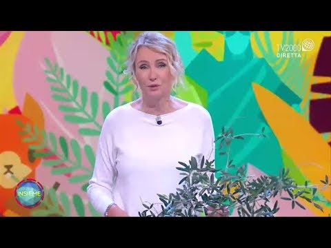 Il Mondo Insieme - Puntata del 5 aprile 2020