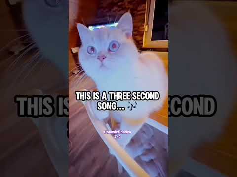 this is the 3second song