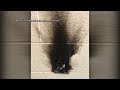 Student Facing Charges After Viral Challenge Sparks Fire At School