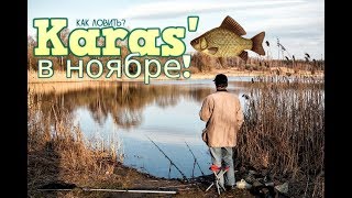 Ловля карася поздней осенью на поплавочную удочку