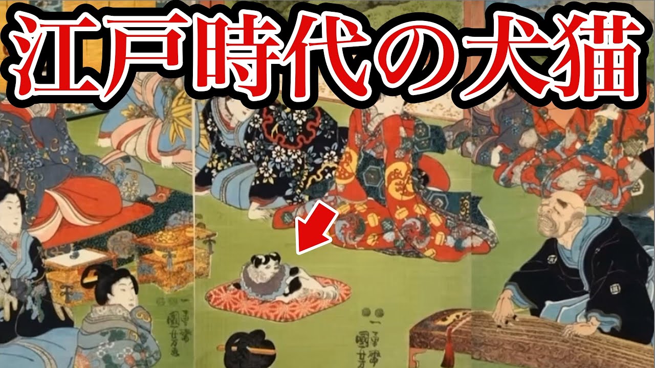 江戸時代には猫がひもで繋がれ⭐︎犬は自由に走り回っていた？江戸の人々が熱狂した「鳥合わせ」とは？