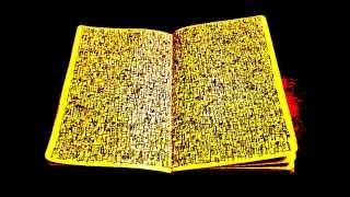 SOUNDSICK - MoLeSkiNe (Astonishment album)