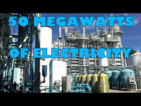 Did you know 1 co-gen plant can power an entire city?