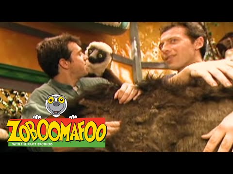 Zoboomafoo 138 - The four F's (Full Episode)