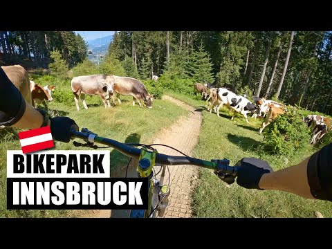 Rakouské Alpy a 8 km dlouhé flow: BIKEPARK INNSBRUCK