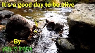 It&#39;s a good day to be alive