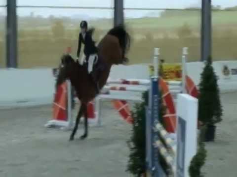 Caritano , CSI** strazeele 1m35
