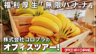 【オフィスツアー】ゲームの世界観と会社のヒストリーを感じよう！コロプラのクリエイターファーストなオフィス！