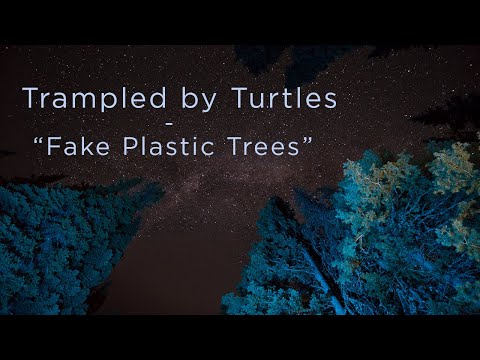 Video thumbnail for Fake Plastic Trees