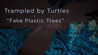 Fake Plastic Trees Music Video