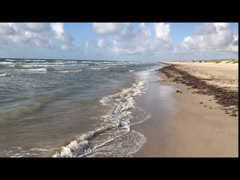 The beach has a lot of washed up kelp and seaweed, but as the water recedes daily it opens up sandy beaches to enjoy