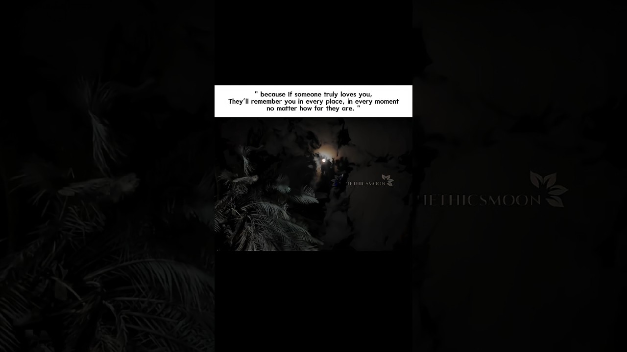 see the pin comment for more info..🥹😭😭||#shorts #aesthetic #xthethicsmoon #relatable #100k