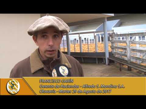 29-08-17 Nota a Francisco Garín - Alfredo S Mondino - Olavarria
