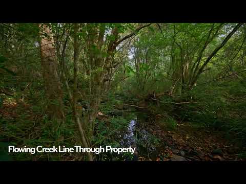 Lot 152 Stewarts River Road, Lorne, NSW 2439, 0房, 0浴, Lifestyle Property