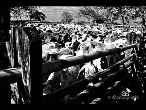 FG La Majada del Diablo - Juan Farfán