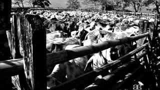 La Majada del Diablo Lyrics English Translation