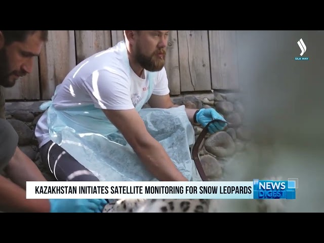 Kazakhstan initiates satellite monitoring for snow leopards